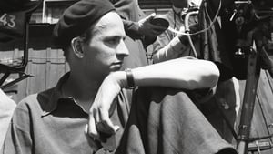 Bergman: A Year in a Life