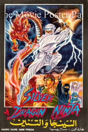 Silver Dragon Ninja