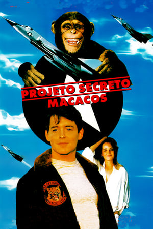 Poster Projeto Secreto - Macacos 1987