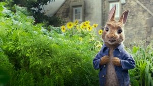 Peter Rabbit Película Completa HD 1080p [MEGA] [LATINO] 2018