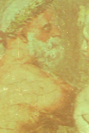 Search for Immortality (2026)