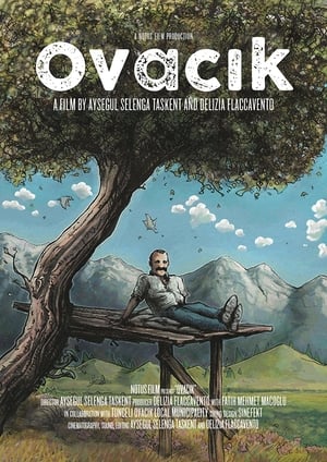 Poster Ovacik (2019)