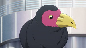Fumetsu no Anata e 3 Temporada Ep 12