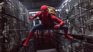 Spider-Man: Regreso a casa