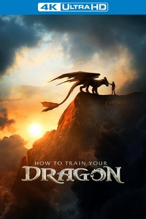 poster How to Train Your Dragon