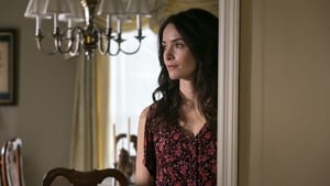 Rectify: 2×3