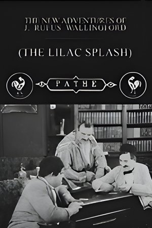 Image The Lilac Splash