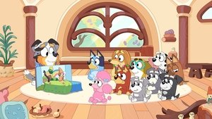 Bluey Season 1 Episode 17