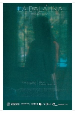 Poster Maidenhood (2022)