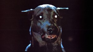 Dracula's Dog film complet