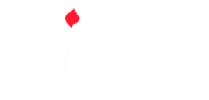 Dois Doidões em Harvard — Logos 1