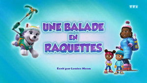 Paw Patrol Helfer auf vier Pfoten: 5×23