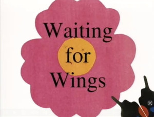 Waiting for Wings still