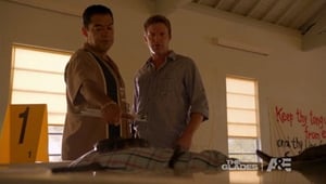 The Glades: 2×8