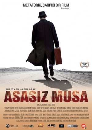 Poster Asasız Musa 2014