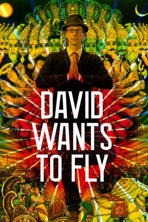 David Wants to Fly - Ein yogisches Abenteuer