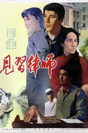 Poster 见习律师 1982