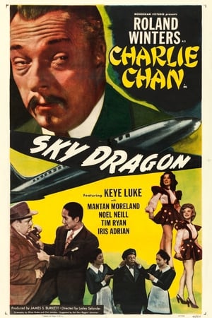 Sky Dragon poster