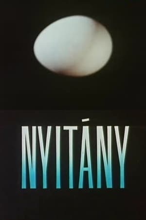 Poster Nyitany 1965
