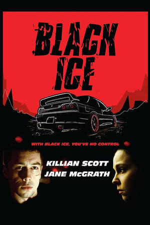 Poster Black Ice (2013)