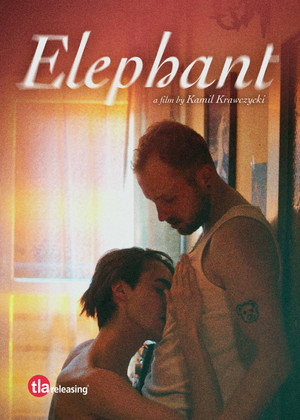 Elephant 21