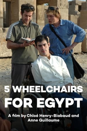 Image Five Wheelchairs for Egypt