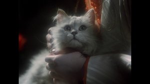 House (1977)