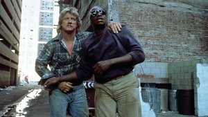 They Live ( 1988 )