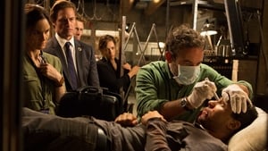 Colony 2X06 Online Subtitulado