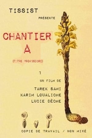 Poster Chantier A (2013)