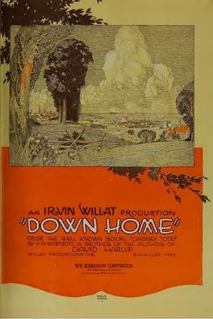 Poster Down Home (1920)