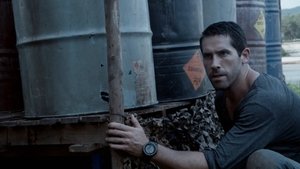 Blanco humano 2 (2016)