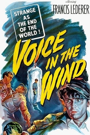 Voice in the Wind poster