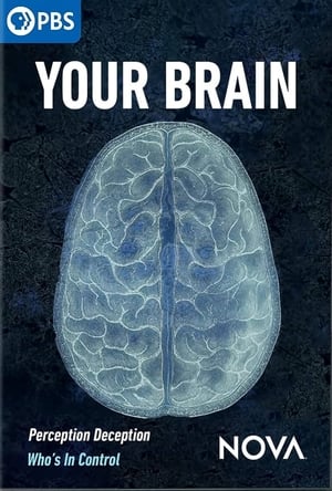 Image Your Brain