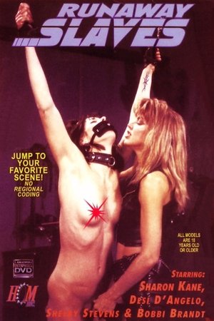Poster Runaway Slaves 1994