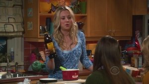 The Big Bang Theory 4×19