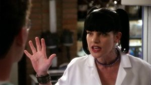 NCIS: 7×21