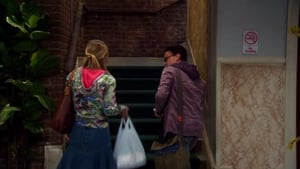 The Big Bang Theory 5×9