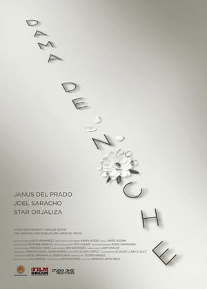 Poster Dama de Noche (2020)