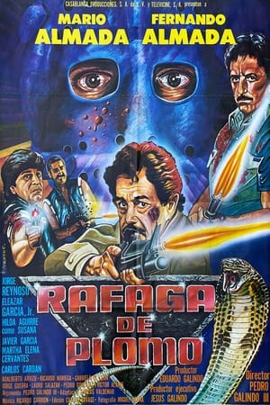 Poster Rafaga De Plomo 1985
