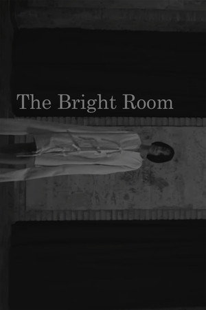 The Bright Room (2025)