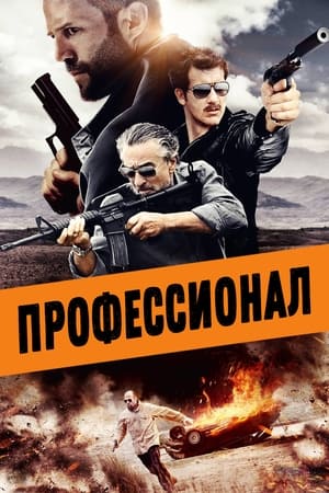 Poster Профессионал 2011