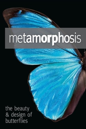 Metamorphosis: The Design and Beauty of Butterflies film complet