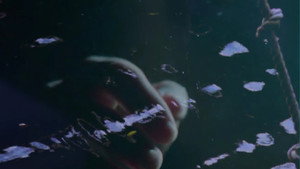 Poster for Seeing Through the Mists of Oblivion