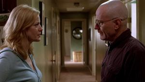 Breaking Bad: A Química do Mal: 2×12