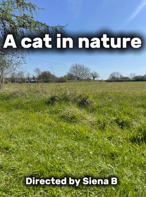 A Cat in Nature