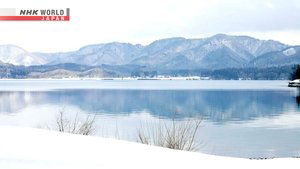 Journeys in Japan: 15×8