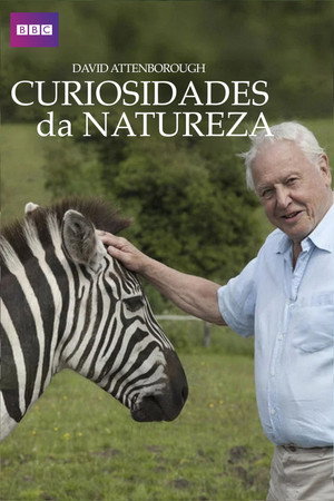 Curiosidades da Natureza com David Attenborough
