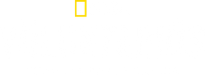 Testers — Logos 1