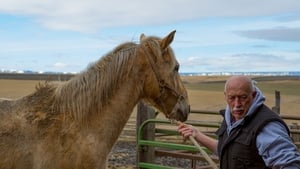 The Incredible Dr. Pol Charles in Charge